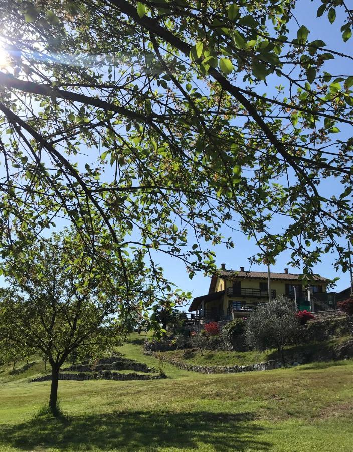 Bb10 Oasi Pension Arona Buitenkant foto