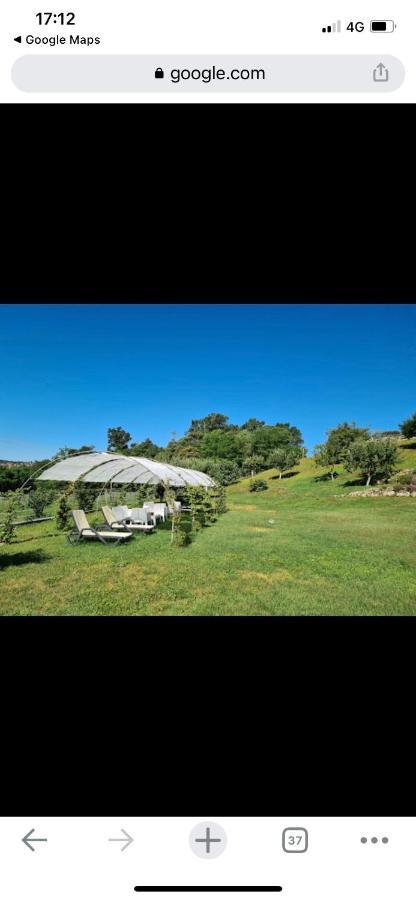 Bb10 Oasi Pension Arona Buitenkant foto