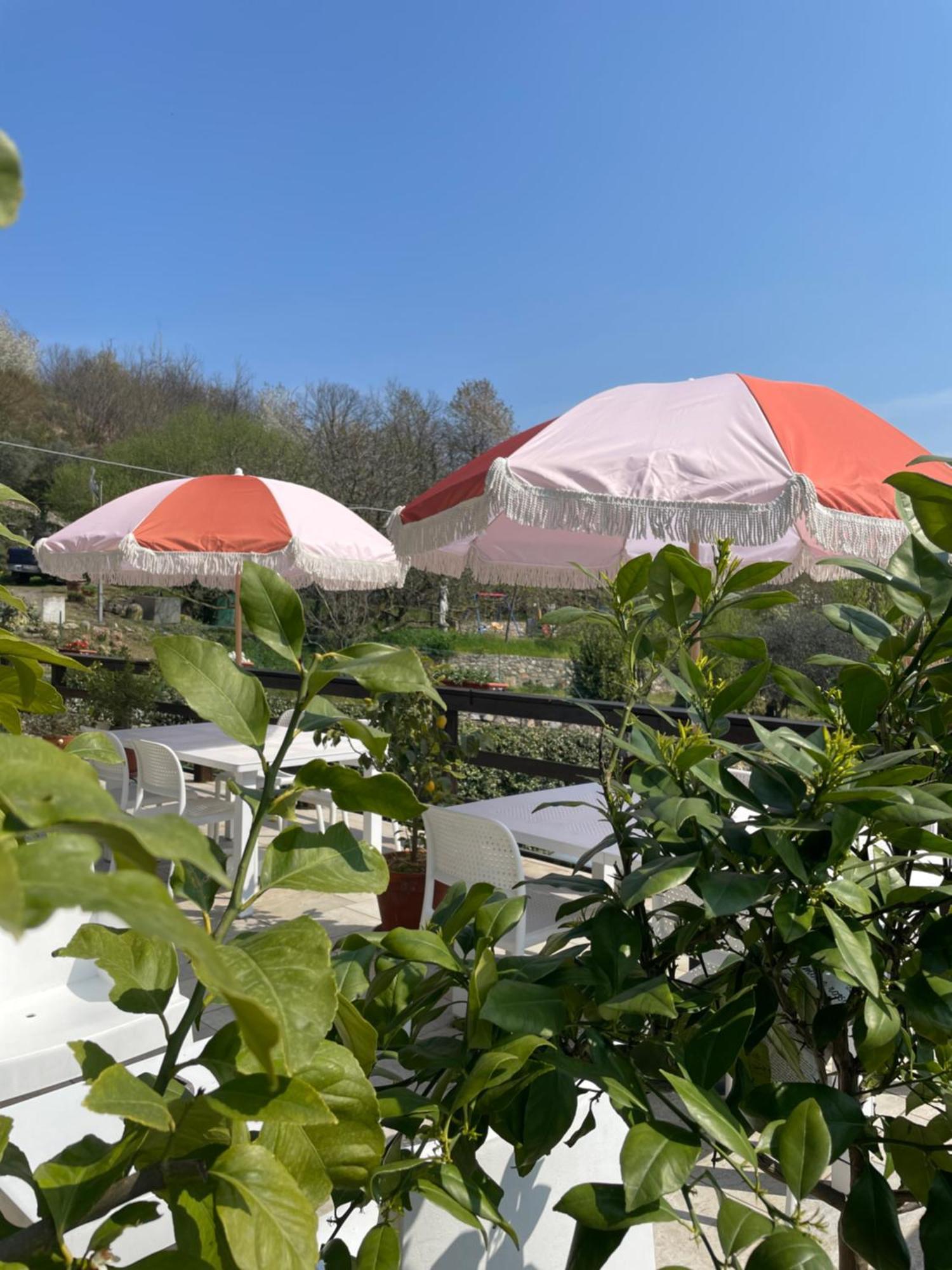 Bb10 Oasi Pension Arona Buitenkant foto