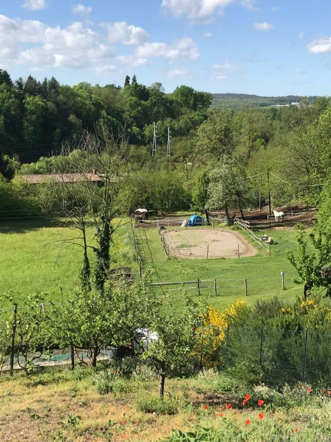 Bb10 Oasi Pension Arona Buitenkant foto